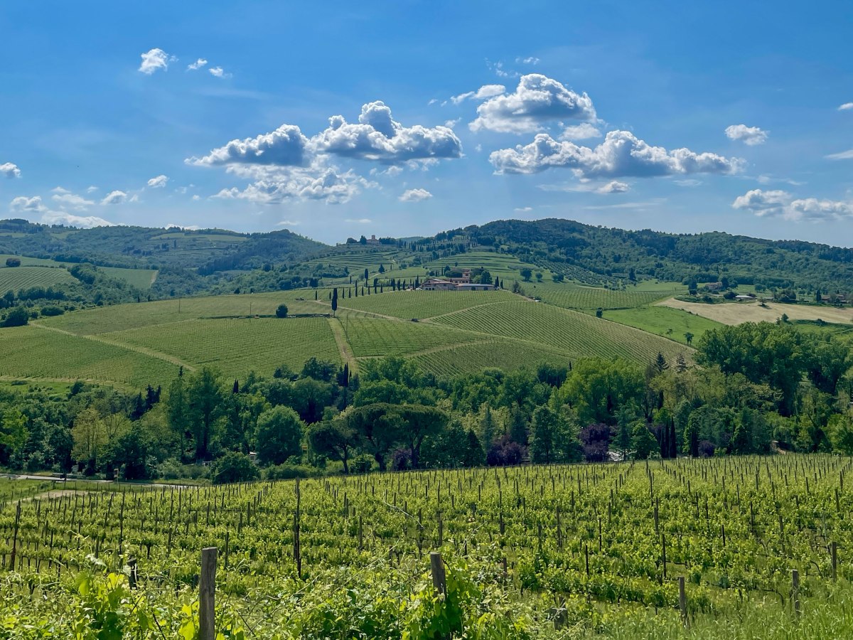 3 days in Florence: Part II- Delightful food experience and Day trip to Chianti-&nbsp;Tuscany