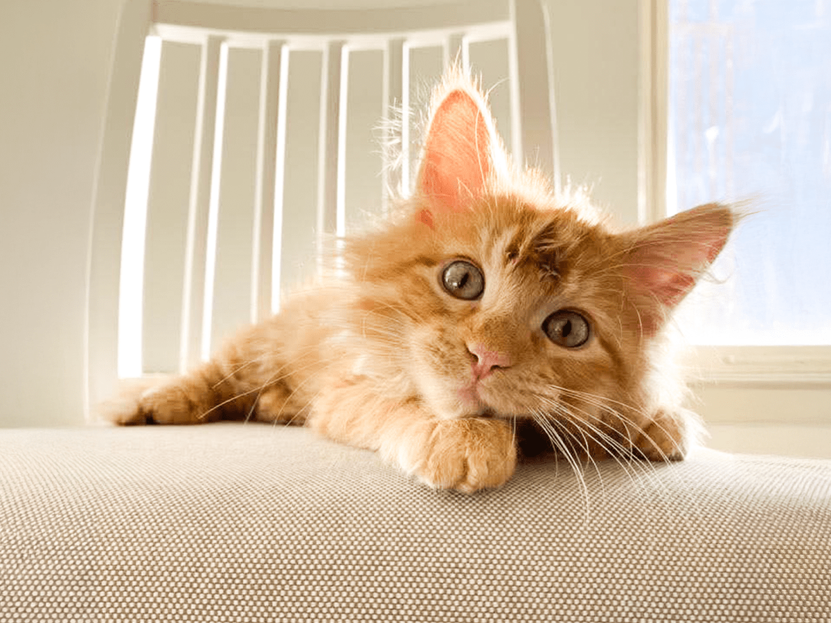 2024 Year In Review. A life-Altering&nbsp;Year