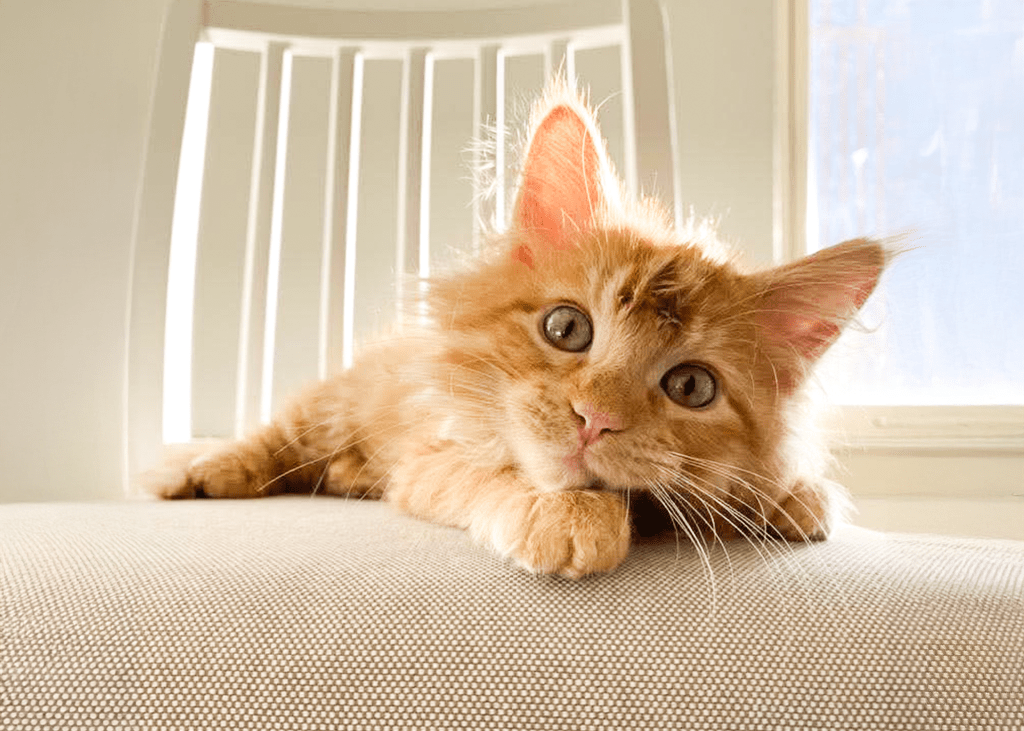 2024 Year In Review. A life-Altering&nbsp;Year