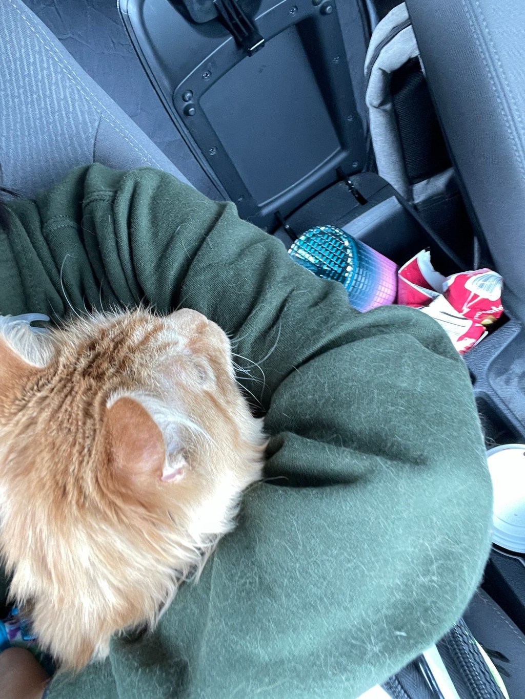 Our Cat Got&nbsp;Sick